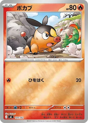 Tepig (Mirror Holo) #109 – Start Deck 100 Battle Collection