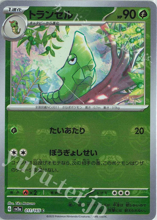 Metapod (Master Ball Pattern) #11 – Pokemon Card 151