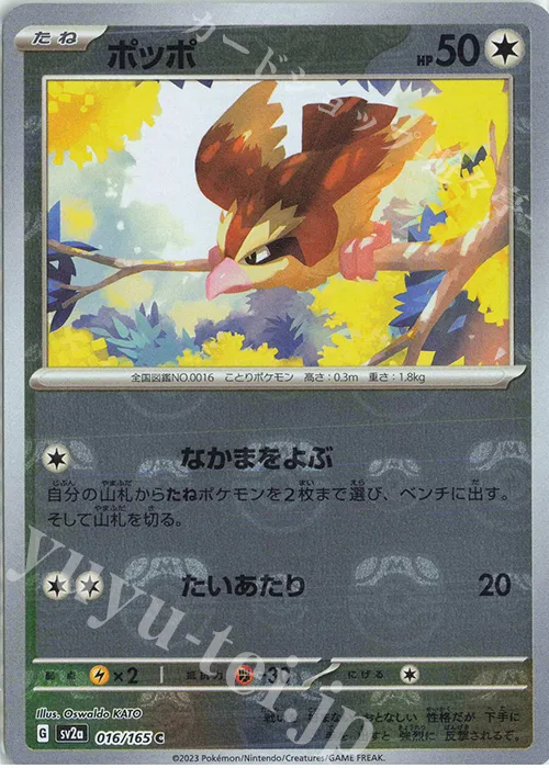Pidgey (Master Ball Pattern) #16 – Pokemon Card 151