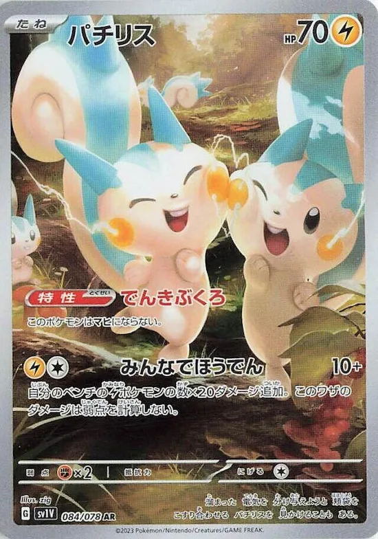 Pachirisu #84 – Violet ex