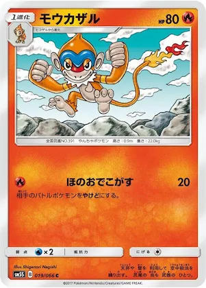Monferno #19 – Ultra Sun
