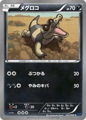 Sandile #34 – XY-Bx: Collection X