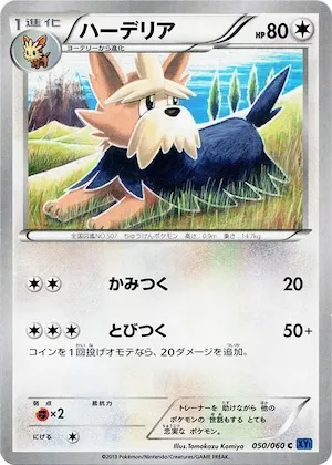 Herdier #50 – XY-Bx: Collection X
