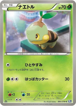 Turtwig #1 – Plasma Gale