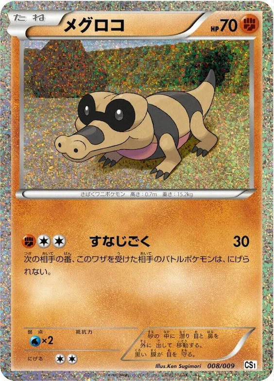 Sandile #8 – Journey Partners Collection Sheet