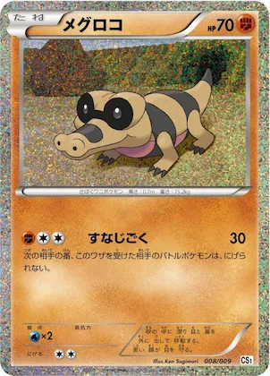 Sandile #8 – Journey Partners Collection Sheet