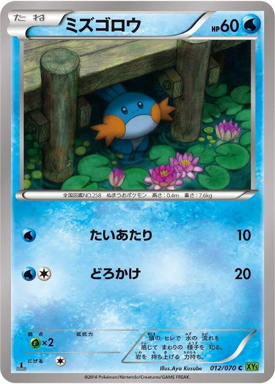 Mudkip #12 – XY5-Bt: Tidal Storm