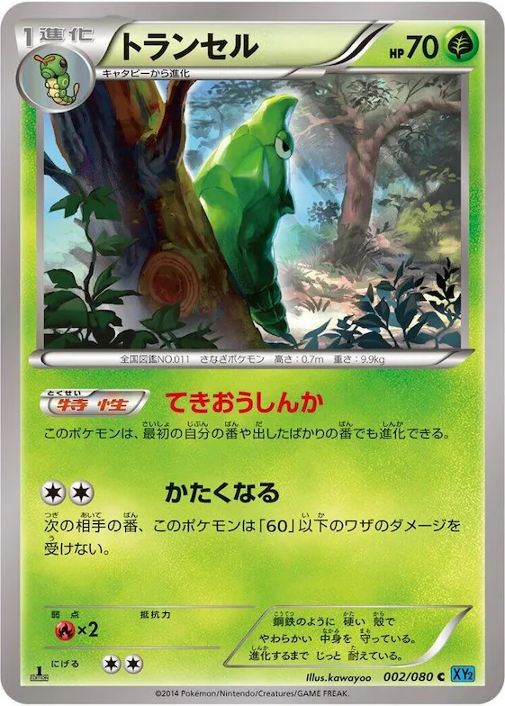 Metapod #2 – Wild Blaze