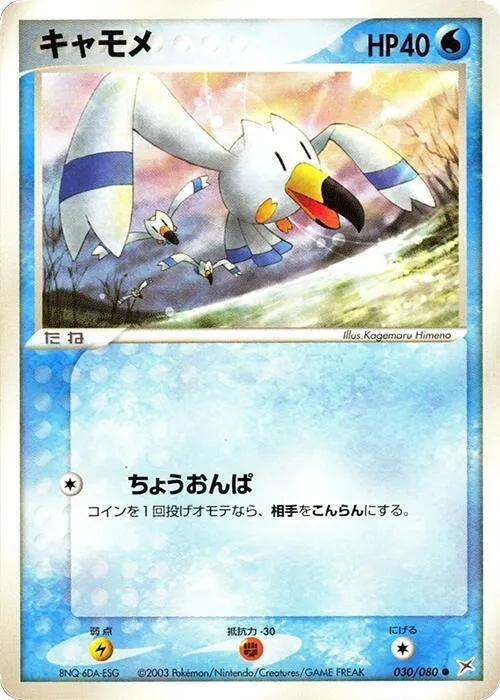 Wingull #30 – Magma VS Aqua: Two Ambitions