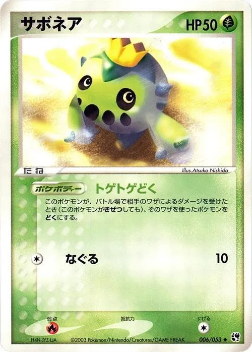 Cacnea #6 – Miracle of the Desert