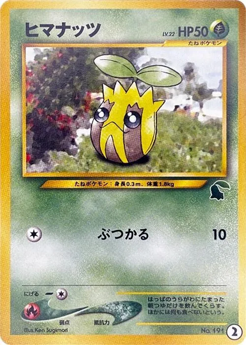 Sunkern #2 – Intro Pack Neo (Chikorita)