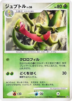 Grovyle #303 – Dawn Dash