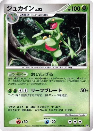 Sceptile #304 – Dawn Dash