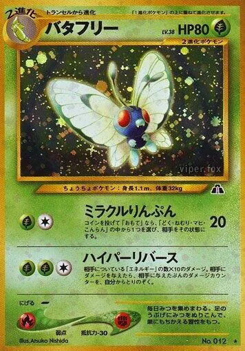 Butterfree #009 – Crossing the Ruins...