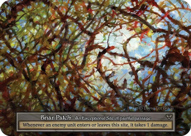 Briar Patch (Foil) #p585174 – Arthurian Legends