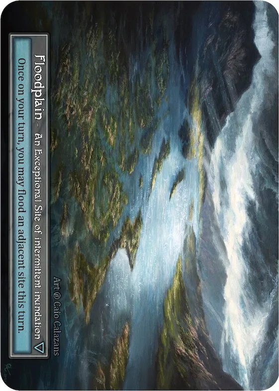 Floodplain (Foil) #p523264 – Beta